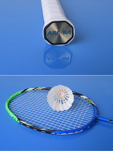 运动户外用品 碳纤维羽毛球拍成人青少年儿童比赛两支装球拍